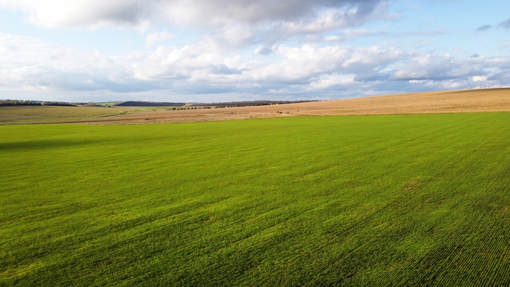 terrain + maison TREGUNC - La plage à pied